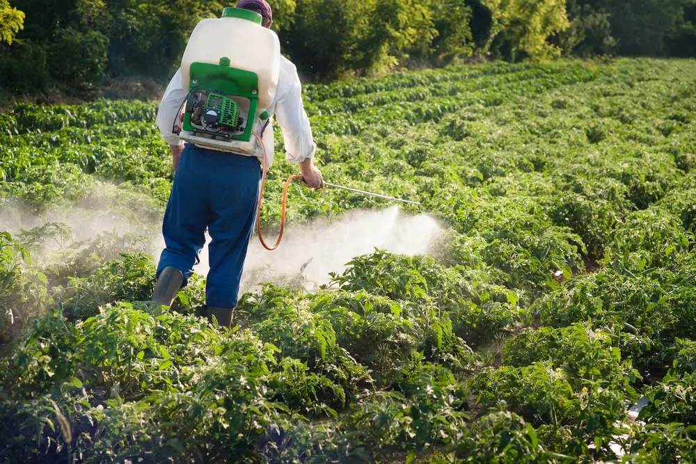 Roundup Cancer Lawsuit